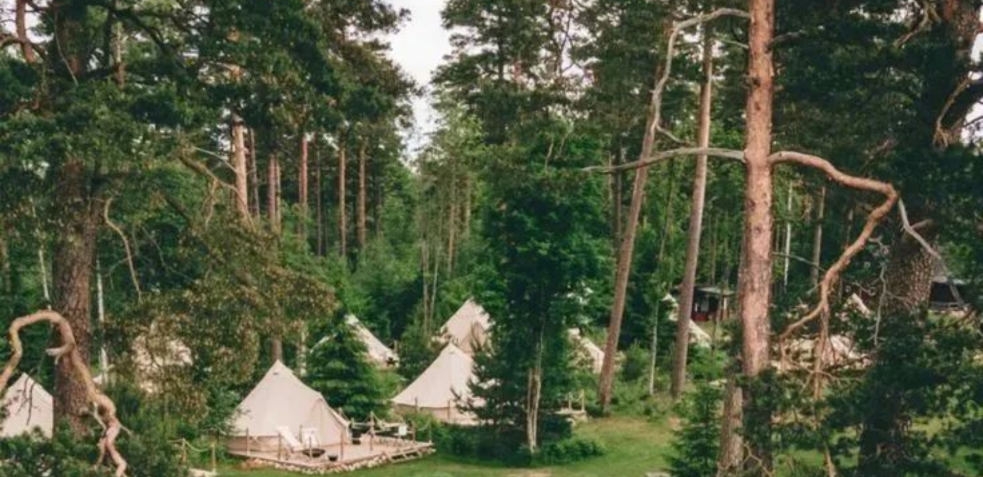 荒野营地开发与运营策略研究：基于市场需求与业态创新的实证分析