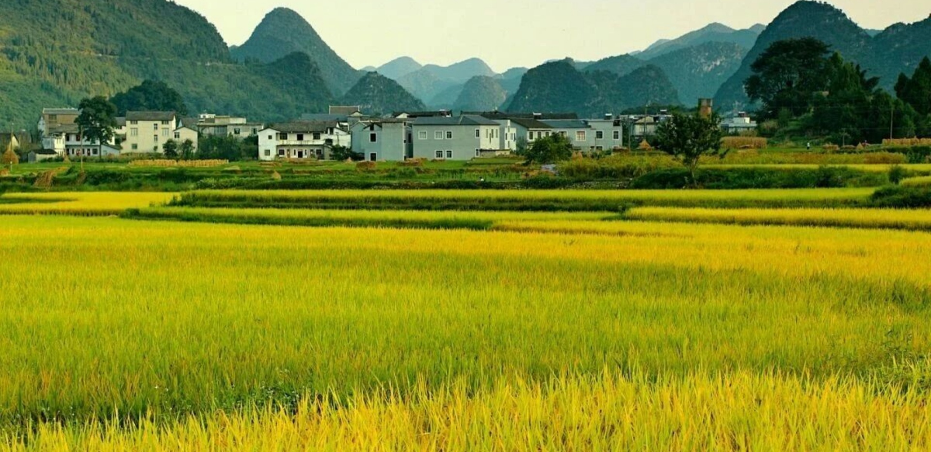 乡村产品想破圈？别只做表面差异！3 条深层逻辑帮你建立核心竞争力