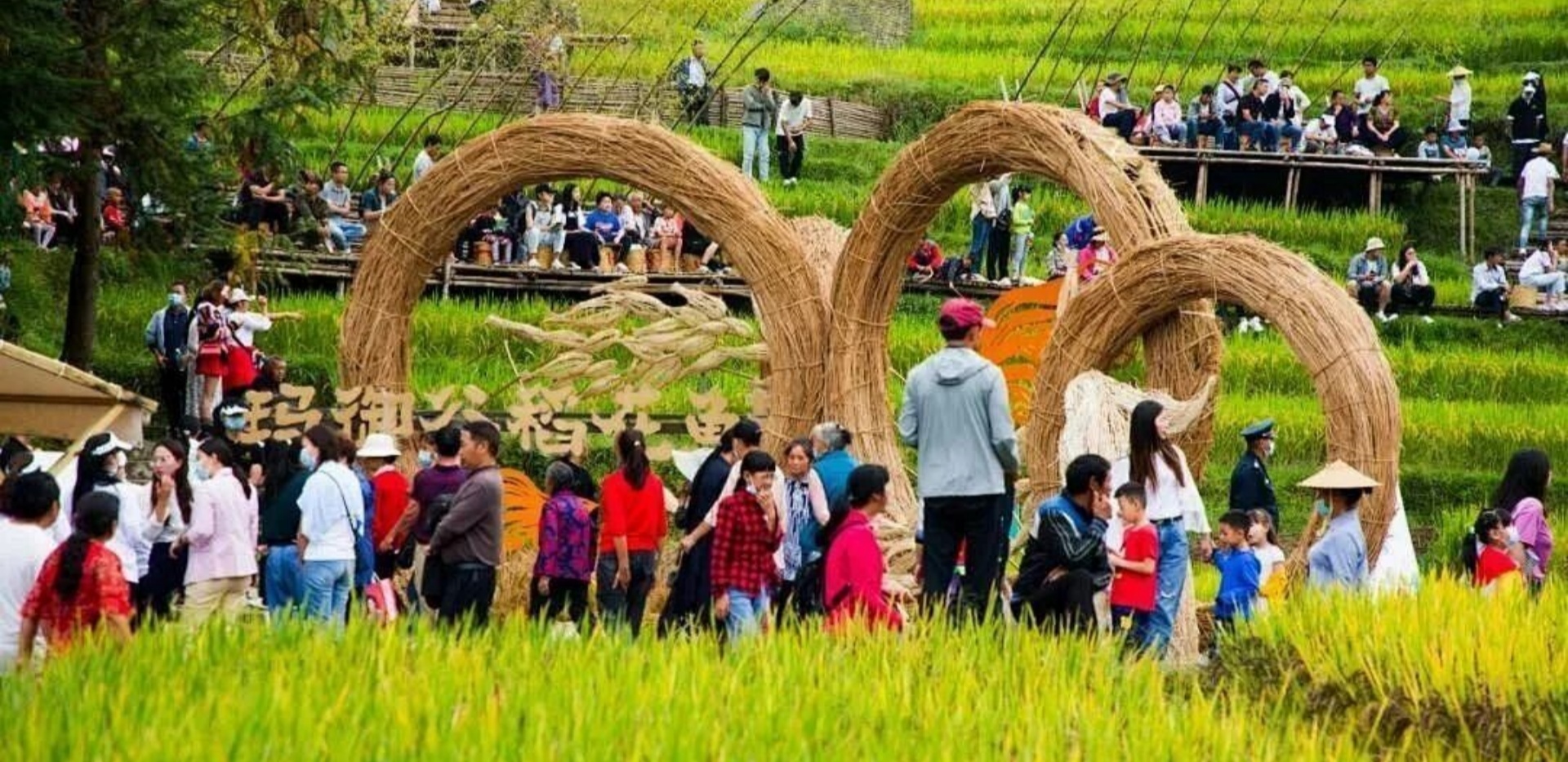 乡村运营别再盯流量！把过客变自家人，才是长久之道